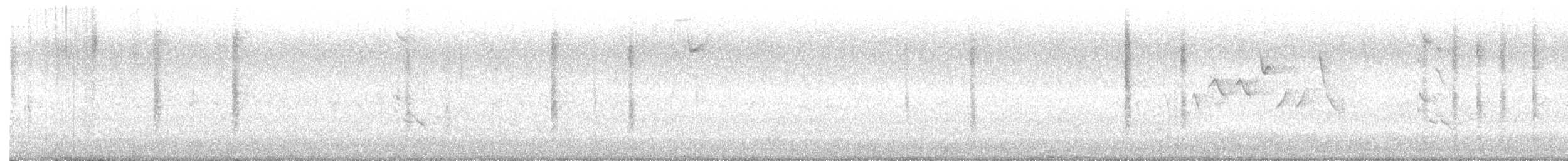 Brewer's Blackbird - ML639612080