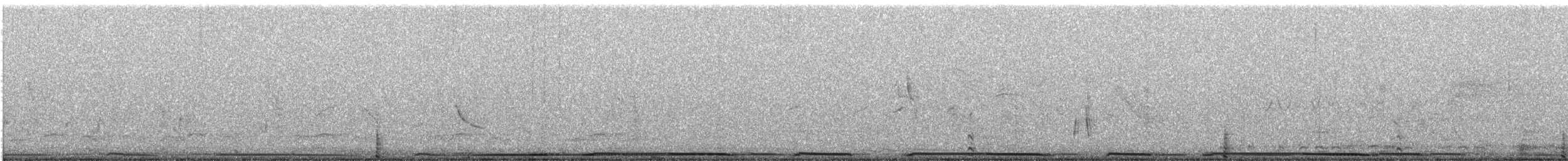 West Peruvian Dove - ML639614022