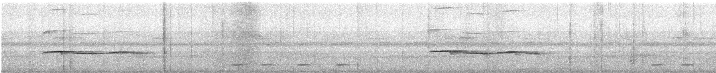Cordillera Azul Antbird - ML639614312