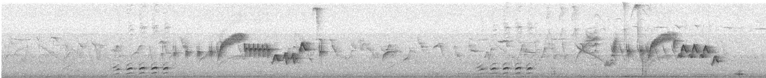 Utcubamba Tapaculo - ML639615973