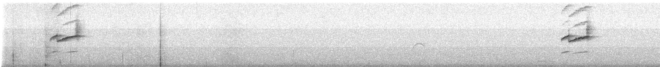 Tyranneau à sourcils blancs - ML639616029