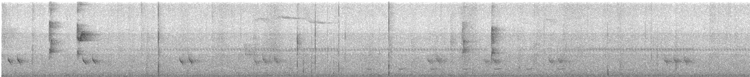 Mottle-cheeked Tyrannulet - ML639616117