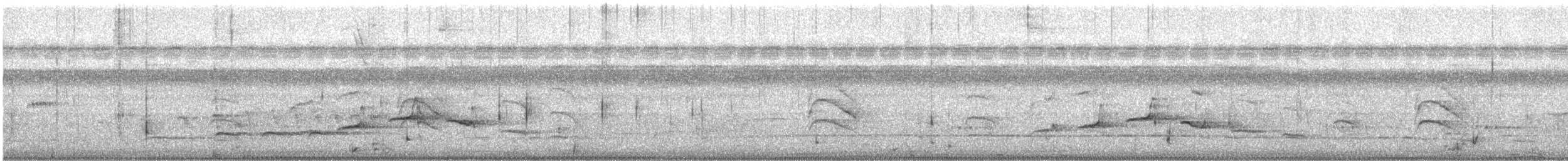 Amazonian Streaked-Antwren - ML639616321