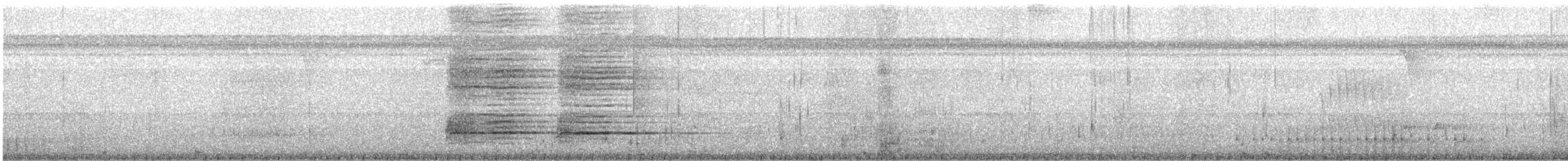 Ringed Woodpecker - ML639616706
