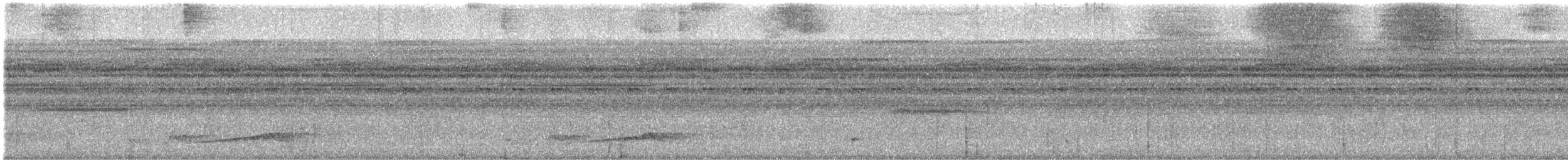 Silky-tailed Nightjar - ML639616727