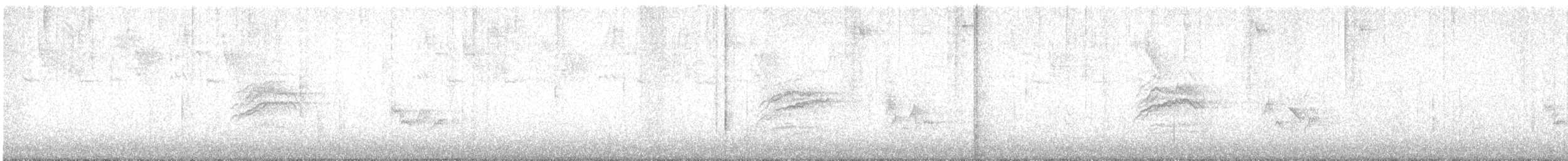 Hermit Thrush - ML639617298