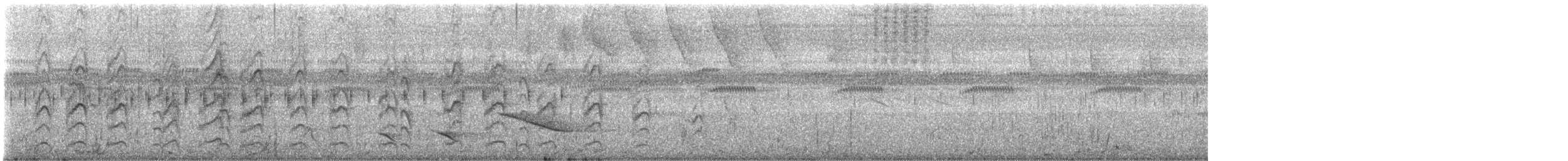 Yellow-billed Tern - ML639617659