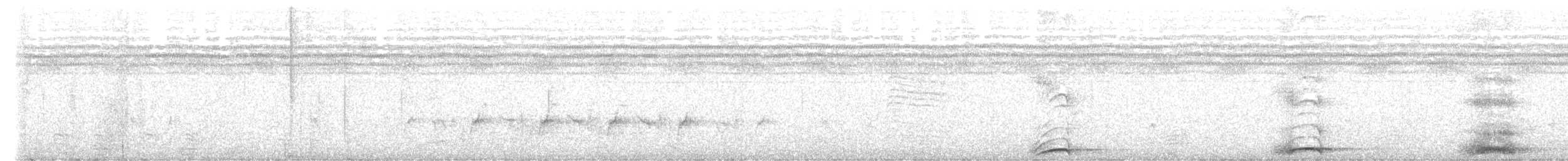 Schalow's Turaco - ML639619945