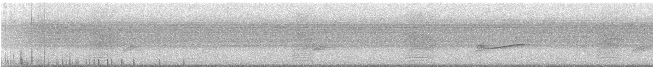 Miaulari grisa - ML639621544