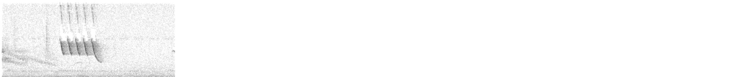 African Pied Wagtail - ML639624241