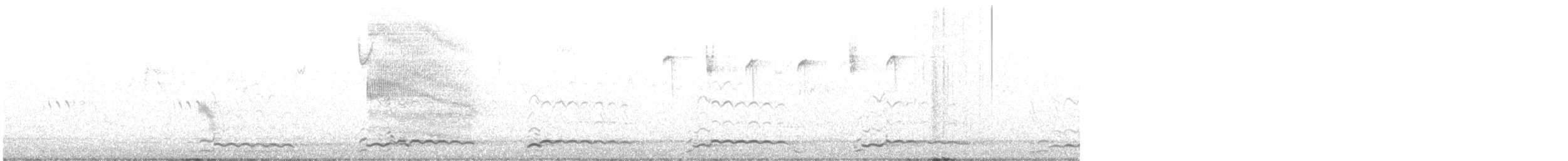 Common Loon - ML639625393