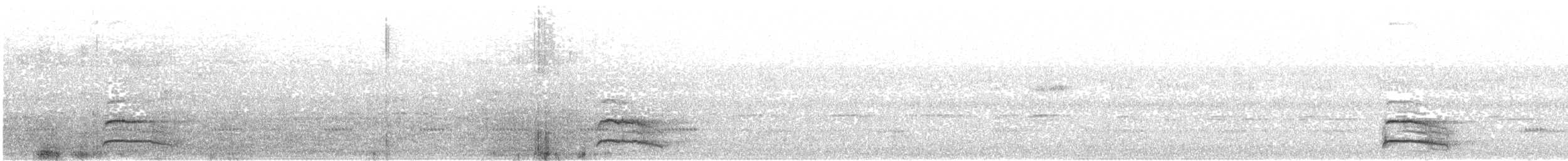 Pearl-spotted Owlet - ML639625816