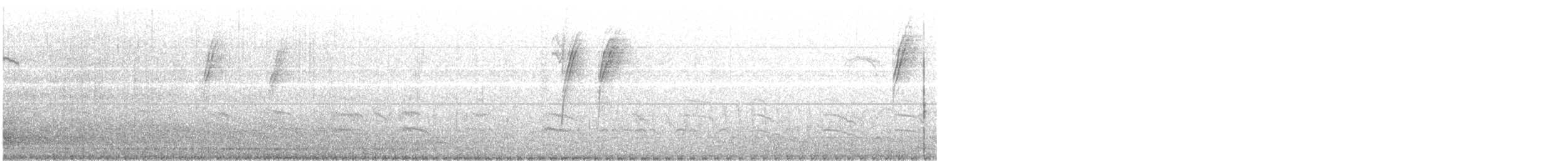 White-sided Hillstar - ML639629325