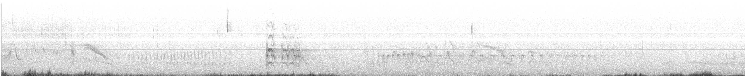 White-sided Hillstar - ML639629334