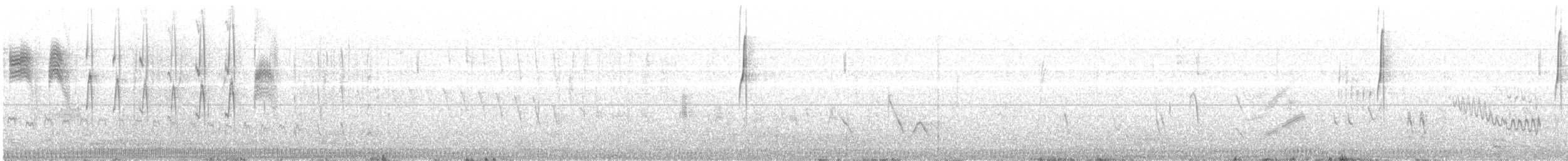 White-sided Hillstar - ML639629335