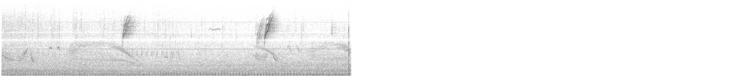 White-sided Hillstar - ML639629336