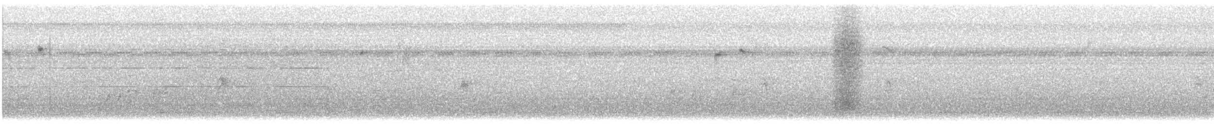 bartramie dlouhoocasá - ML639631206