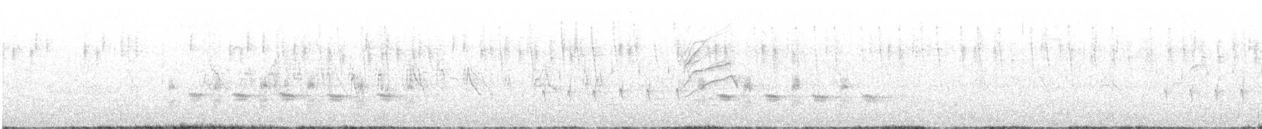 Cassia Crossbill - ML639631514