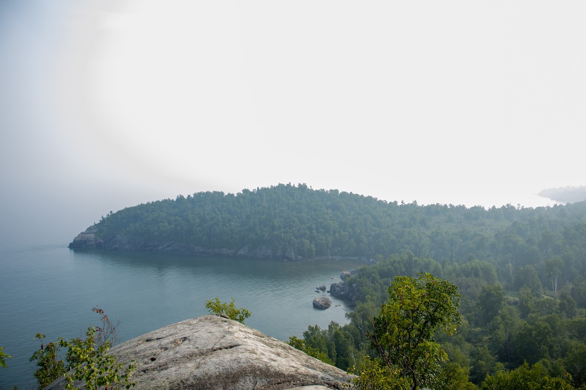 null - ML639631853