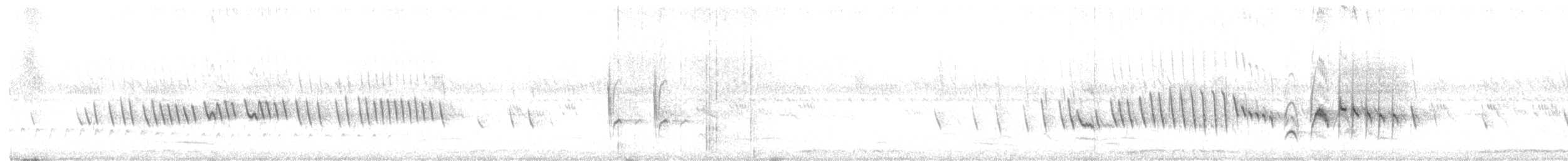 Yellow-eyed Babbler - ML639632153