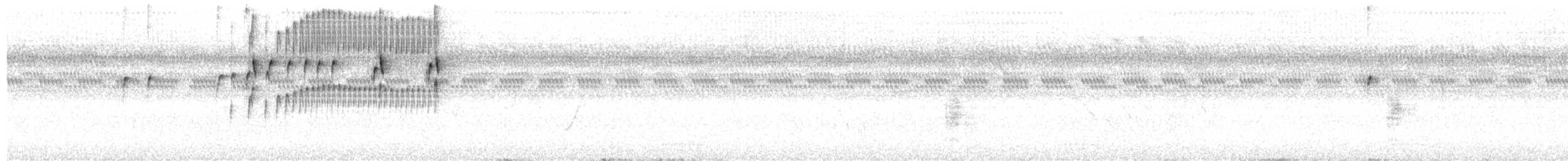 kvegtyrann - ML639633256