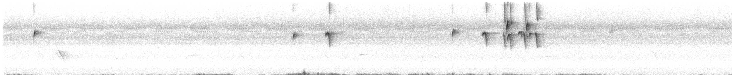 kvegtyrann - ML639633257
