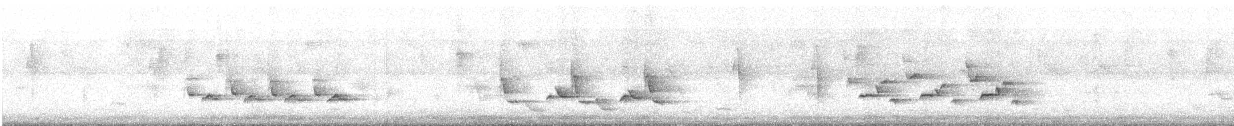 チャバラマユミソサザイ - ML639633486