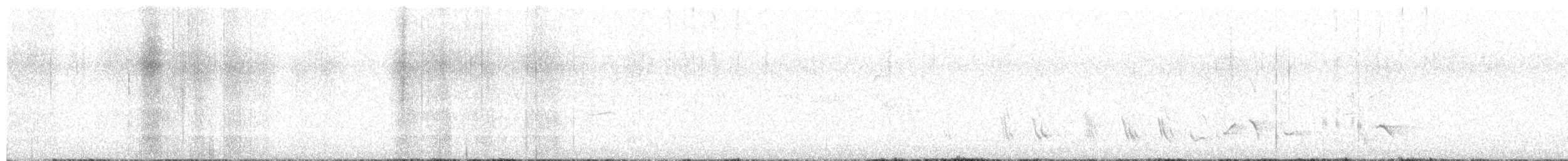 Scott's Oriole - ML639637504