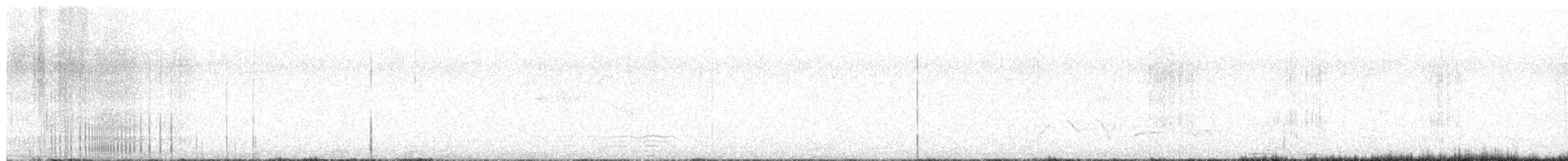 Scott's Oriole - ML639637519
