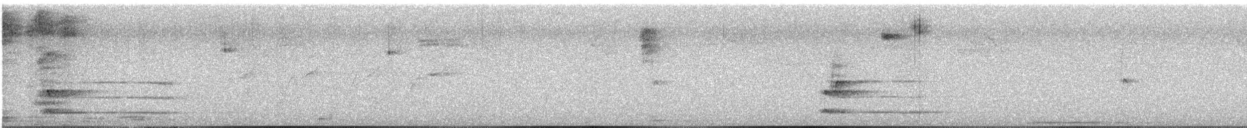 Black Woodpecker - ML639638798