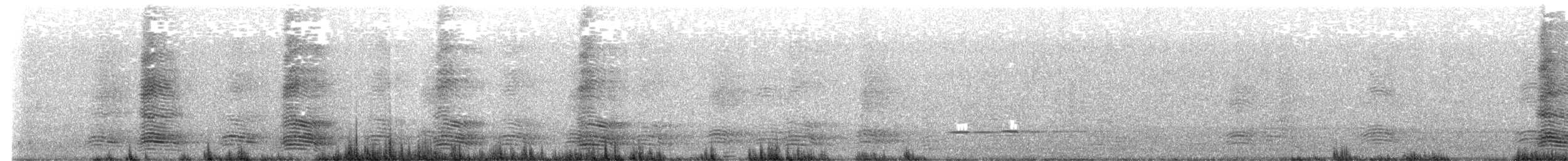 Torresian Crow - ML639638808