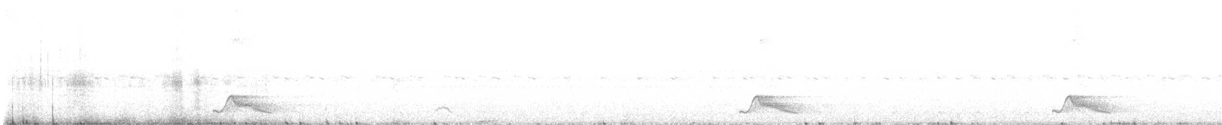 Common Pauraque - ML639639940