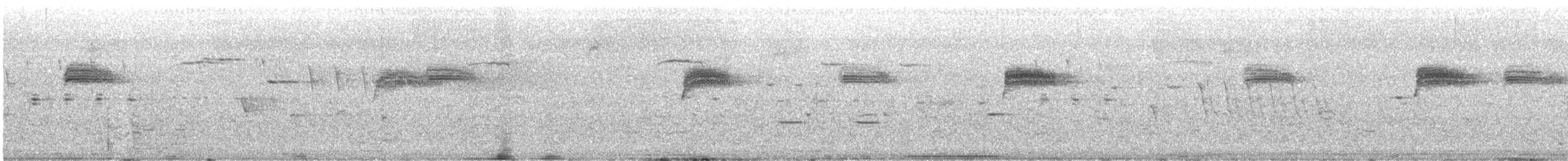 englerketrupial - ML639642818