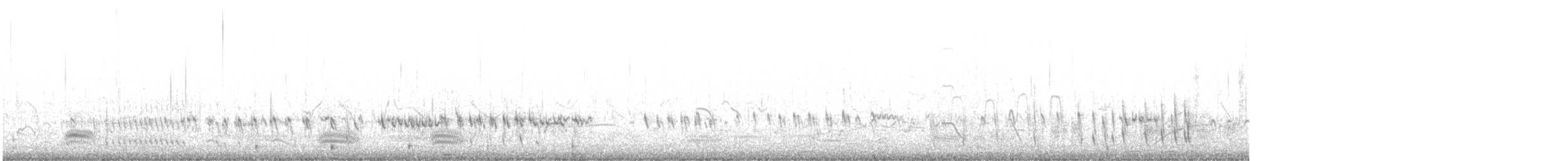 Tibetan Sand-Plover - ML639643613