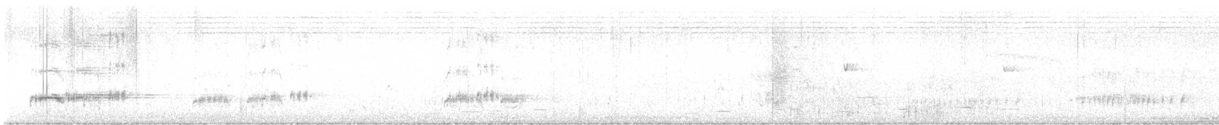 Western Grebe - ML639643951