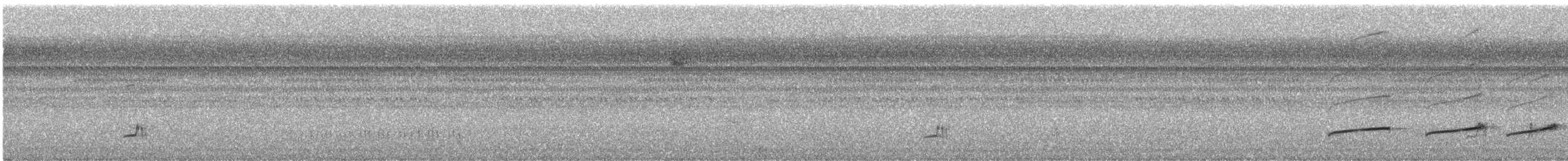 Planalto Tyrannulet - ML639644881