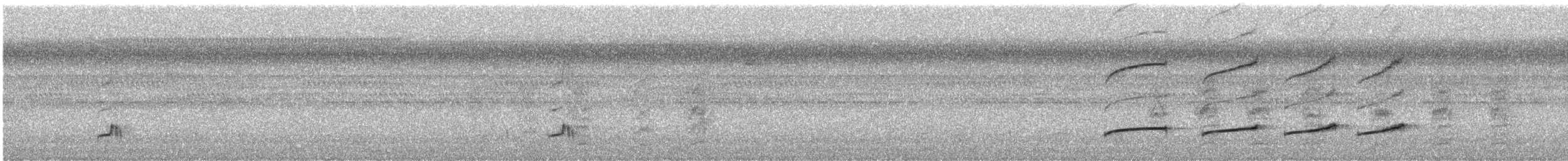 Planalto Tyrannulet - ML639644895
