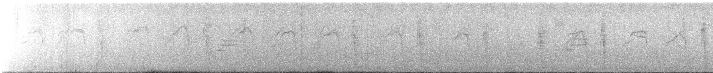 Masked Tityra - ML639646178