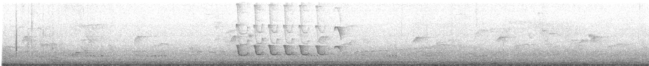 White-winged Becard - ML639647097