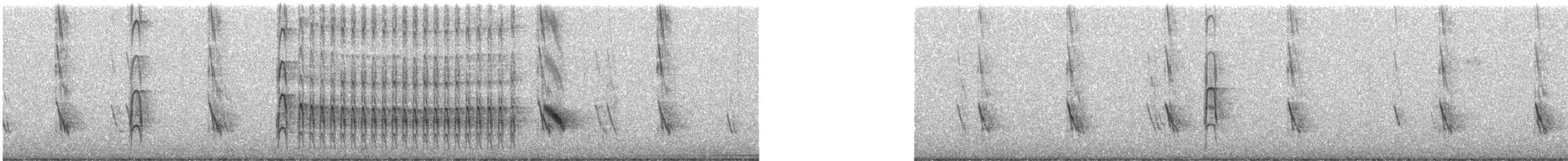 Haarspecht [harrisi-Gruppe] - ML639647597
