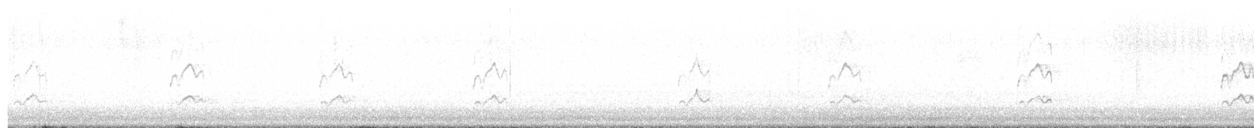 Cockatiel - ML639647616