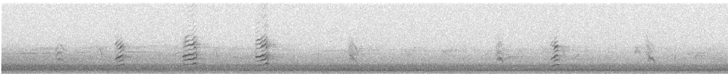 Black-billed Magpie - ML639648567