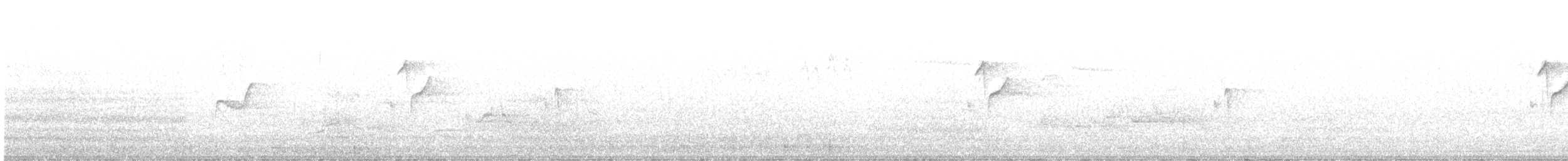 Moucherolle obscur - ML639648690