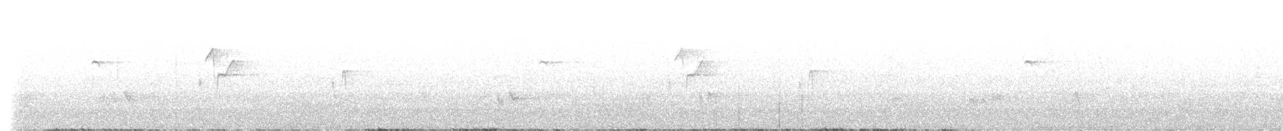 Moucherolle obscur - ML639648791