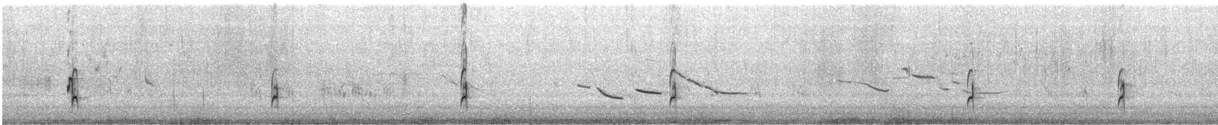 Long-billed Dowitcher - ML639648946