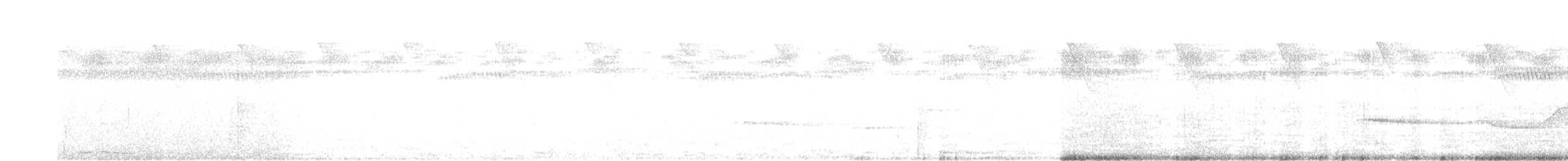 Olivaceous Schiffornis - ML639651348