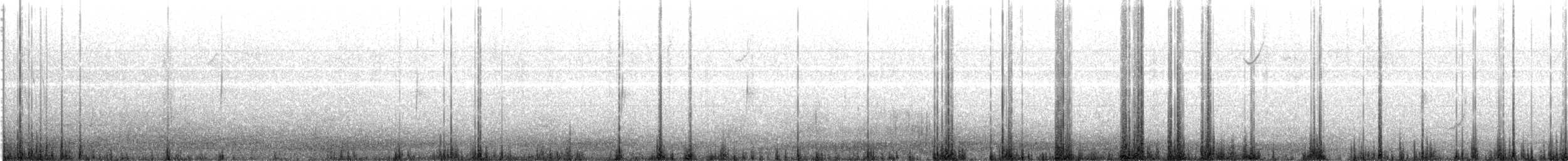 Cream-winged Cinclodes - ML639651596