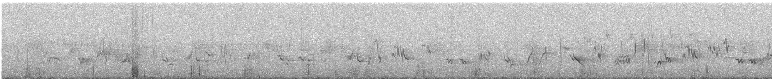 Townsend's Solitaire - ML639652489