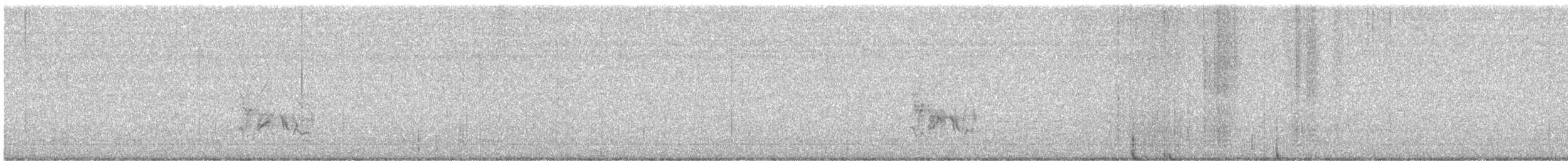 Cassin's Finch - ML639652754