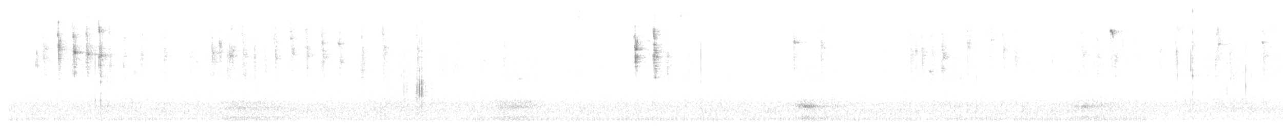 Striated Thornbill - ML639658705